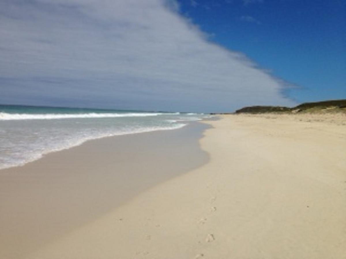Happy Dogs Cottage Margaret River Buitenkant foto
